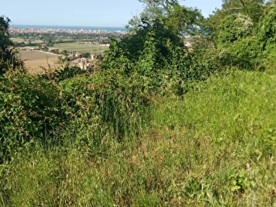 Immagine 4 di Terreno edificabile in vendita  in Località Sant'Elpidio a Mare a Sant'elpidio A Mare