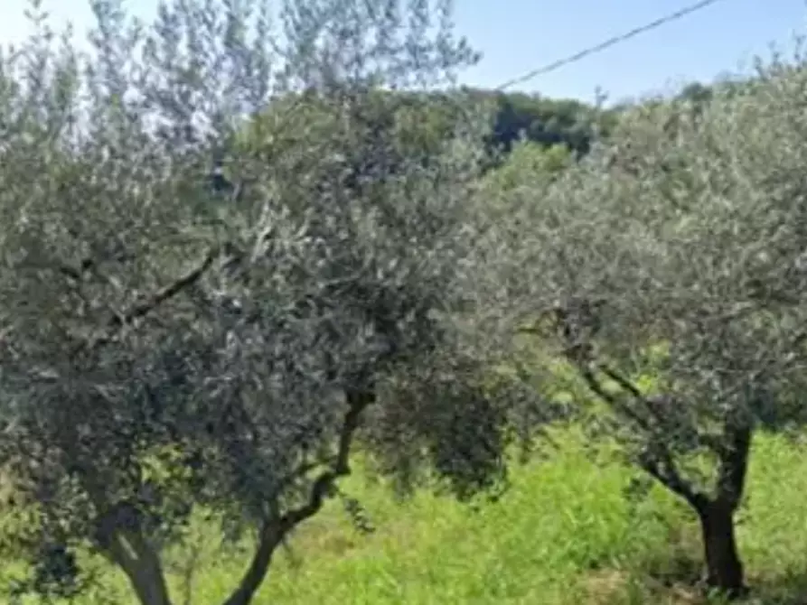 Immagine 1 di Terreno agricolo in vendita  in Località Montecchio Maggiore a Montecchio Maggiore