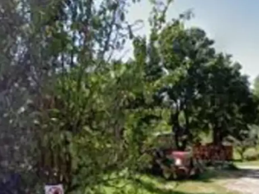 Immagine 2 di Terreno agricolo in vendita  in Località Montecchio Maggiore a Montecchio Maggiore