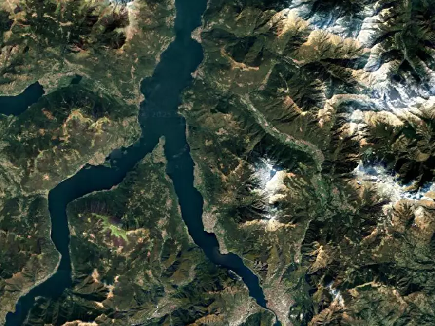 Immagine 2 di Terreno agricolo in vendita  in Località Primaluna a Primaluna