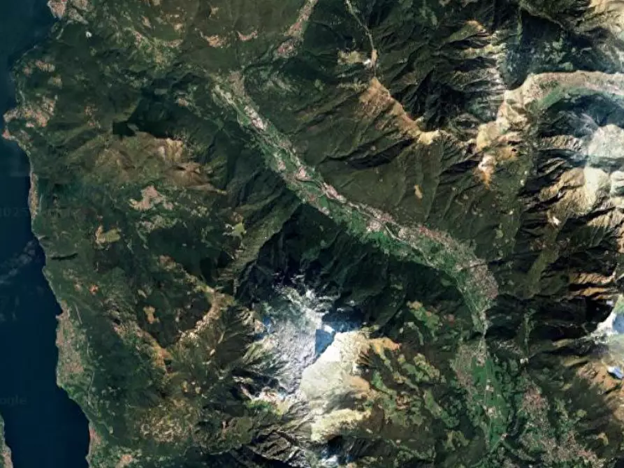 Immagine 3 di Terreno agricolo in vendita  in Località Primaluna a Primaluna