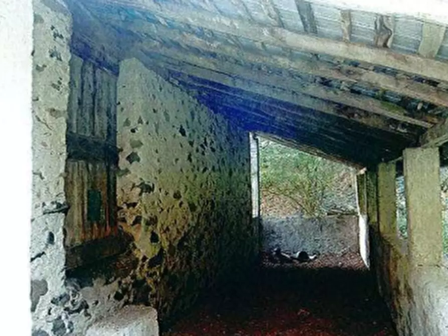 Immagine 3 di Rustico / casale in vendita  in Località Cassina a Primaluna