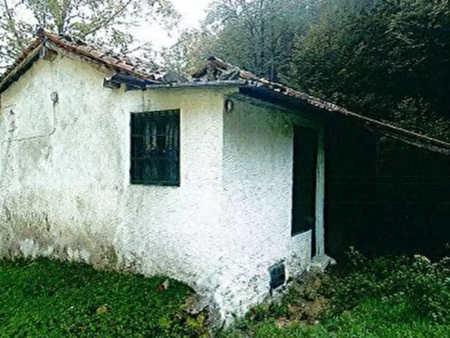 Immagine 5 di Rustico / casale in vendita  in Località Cassina a Primaluna