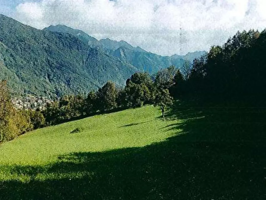 Immagine 8 di Rustico / casale in vendita  in Località Cassina a Primaluna