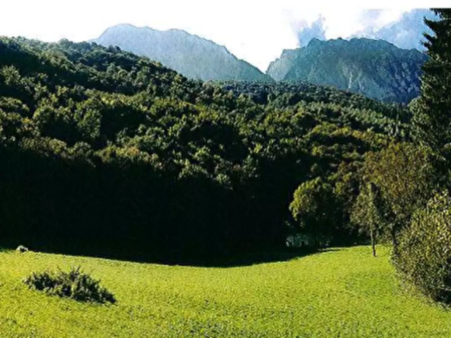 Immagine 9 di Rustico / casale in vendita  in Località Cassina a Primaluna