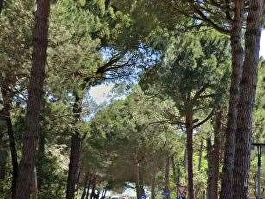 Immagine 11 di Stabile in vendita  in Via XIII Traversa a Cervia