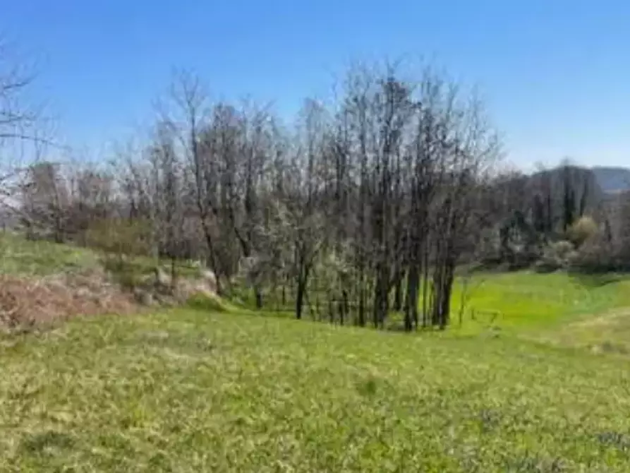 Immagine 2 di Terreno agricolo in vendita  in Località Gamba a Monte Di Malo