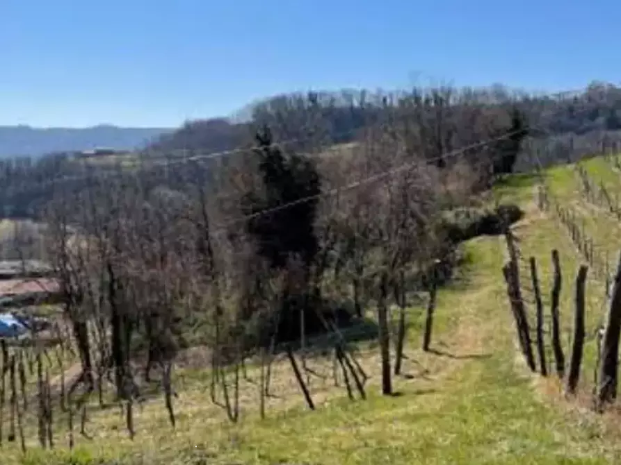 Immagine 3 di Terreno agricolo in vendita  in Località Gamba a Monte Di Malo