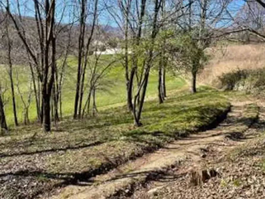 Immagine 4 di Terreno agricolo in vendita  in Località Gamba a Monte Di Malo