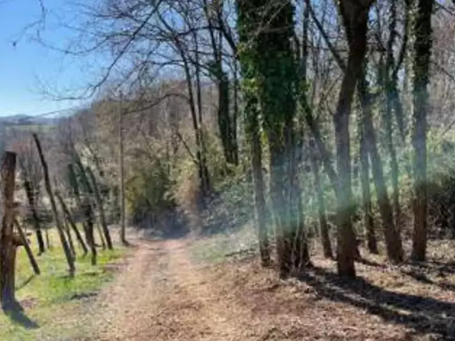 Immagine 5 di Terreno agricolo in vendita  in Località Gamba a Monte Di Malo