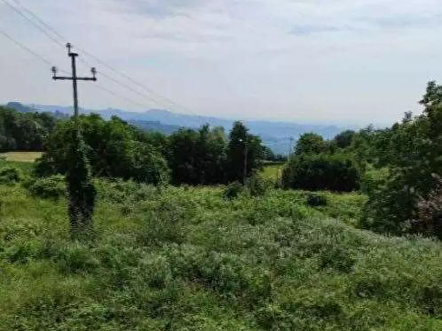 Immagine 2 di Terreno agricolo in vendita  in Via Pellizzari a Trissino