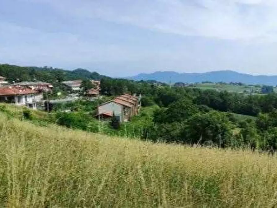 Immagine 5 di Terreno agricolo in vendita  in Via Pellizzari a Trissino