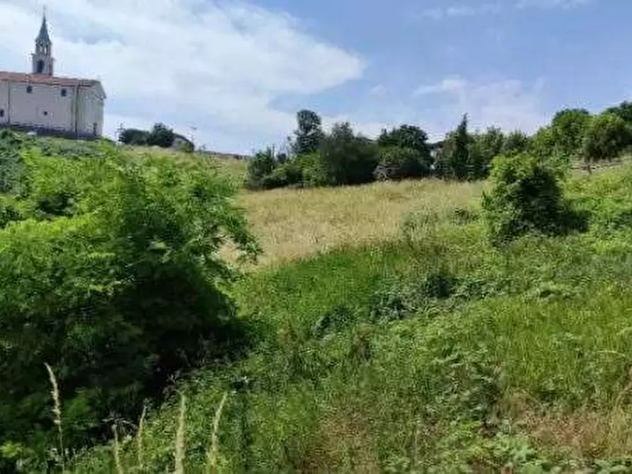 Immagine 4 di Terreno agricolo in vendita  in Via Pellizzari a Trissino