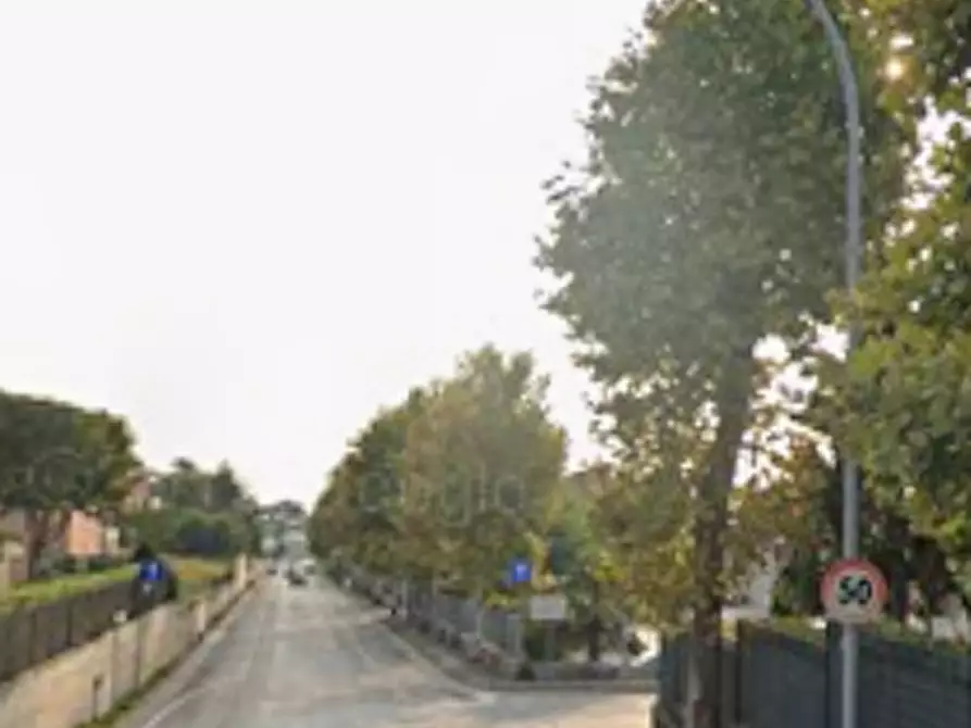 Immagine 8 di Terreno agricolo in vendita  in via San Filippo a Montegranaro