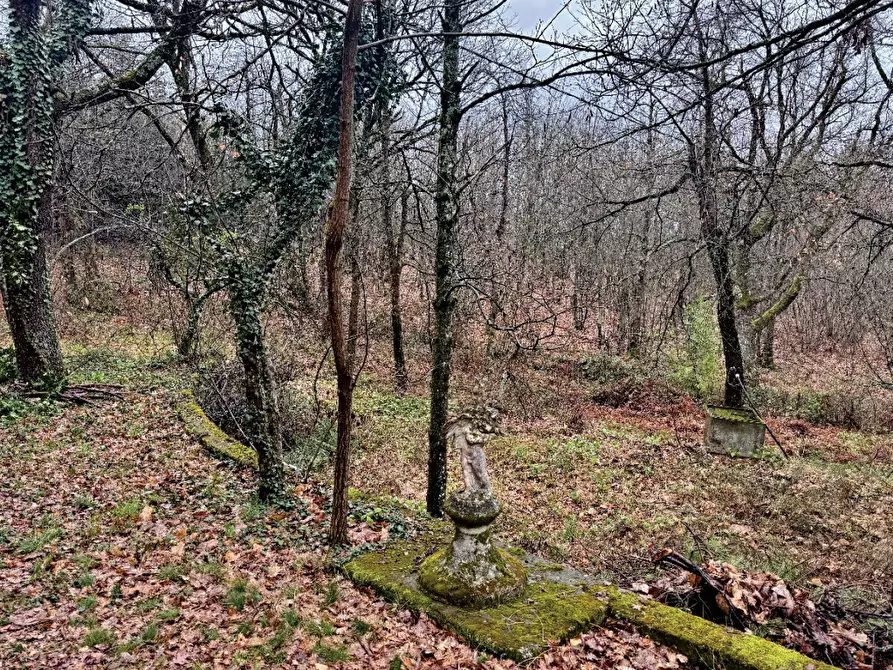 Immagine 8 di Casa indipendente in vendita  in Via Cà del Bosco a San Benedetto Val Di Sambro
