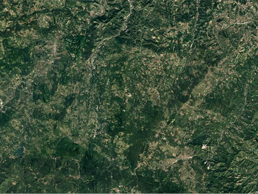 Immagine 24 di Casa indipendente in vendita  in Via Cà del Bosco a San Benedetto Val Di Sambro