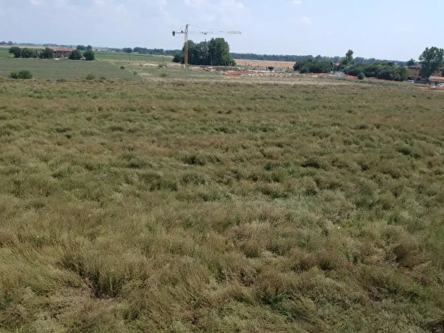Immagine 1 di Terreno edificabile in vendita  in Via Don Minzoni a Molinella