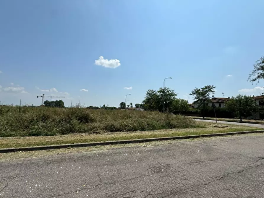 Immagine 2 di Terreno edificabile in vendita  in Via Don Minzoni a Molinella