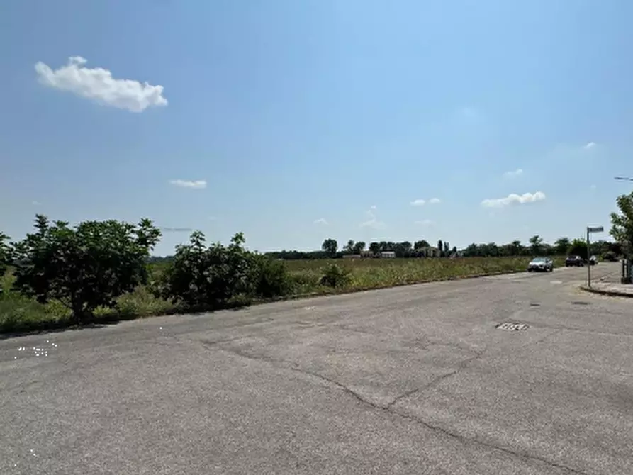 Immagine 3 di Terreno edificabile in vendita  in Via Don Minzoni a Molinella