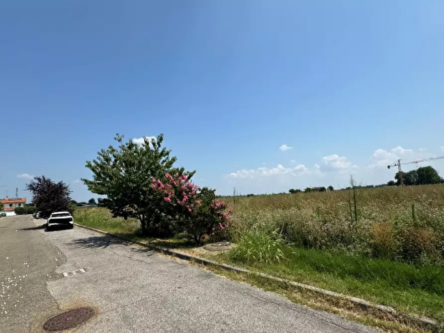 Immagine 5 di Terreno edificabile in vendita  in Via Don Minzoni a Molinella