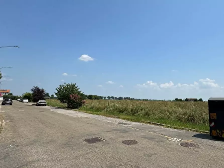 Immagine 6 di Terreno edificabile in vendita  in Via Don Minzoni a Molinella