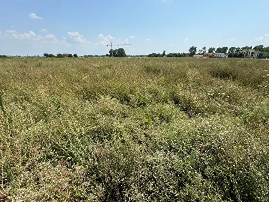 Immagine 9 di Terreno edificabile in vendita  in Via Don Minzoni a Molinella