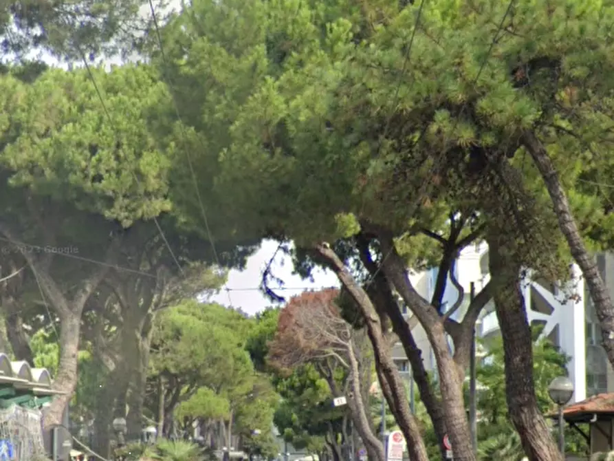 Immagine 18 di Hotel in vendita  in Via Amerigo Vespucci  a Rimini