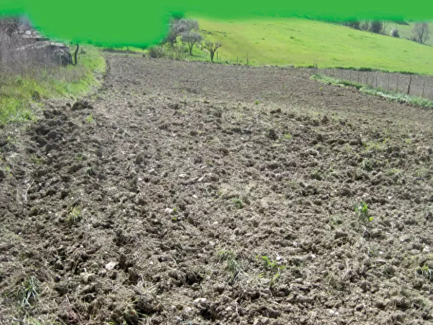 Immagine 1 di Terreno edificabile in vendita  in Località Mondavio a Mondavio