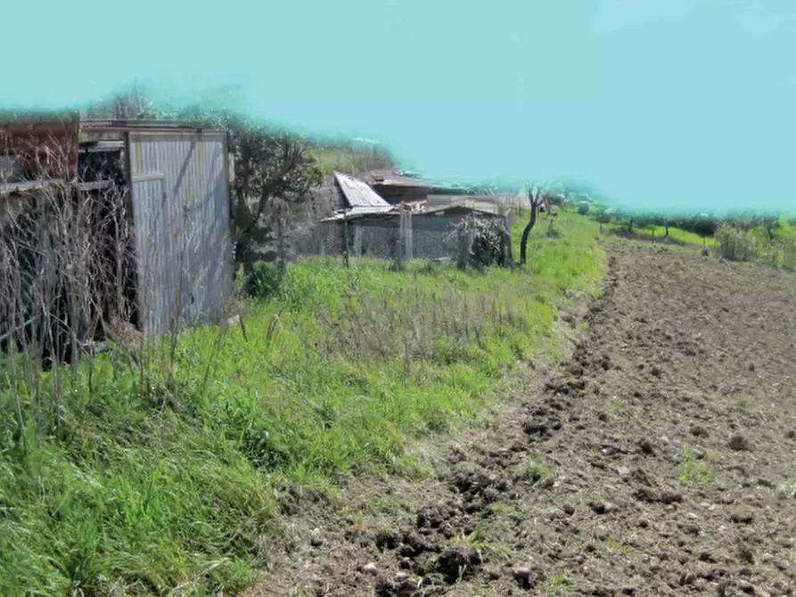Immagine 2 di Terreno edificabile in vendita  in Località Mondavio a Mondavio