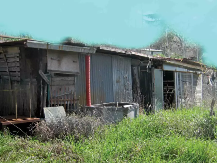 Immagine 3 di Terreno edificabile in vendita  in Località Mondavio a Mondavio