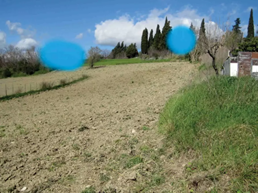 Immagine 4 di Terreno edificabile in vendita  in Località Mondavio a Mondavio