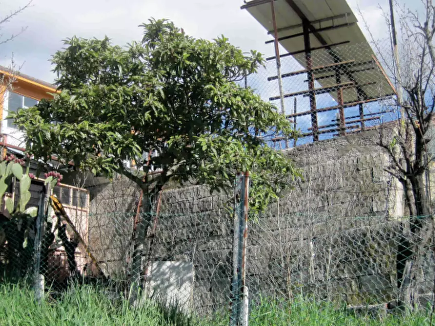 Immagine 5 di Terreno edificabile in vendita  in Località Mondavio a Mondavio