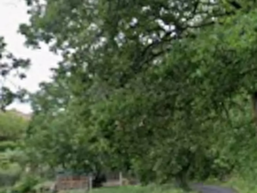 Immagine 8 di Terreno edificabile in vendita  in Località Mondavio a Mondavio