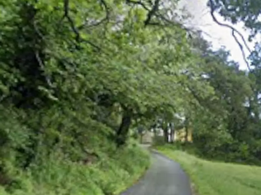 Immagine 9 di Terreno edificabile in vendita  in Località Mondavio a Mondavio