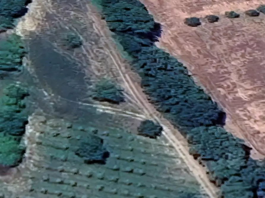 Immagine 10 di Terreno edificabile in vendita  in Località Mondavio a Mondavio