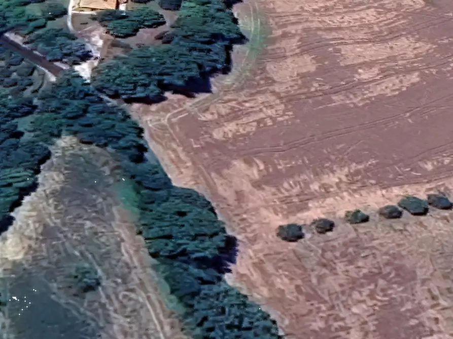 Immagine 11 di Terreno edificabile in vendita  in Località Mondavio a Mondavio