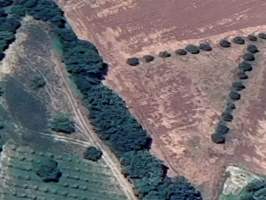 Immagine 12 di Terreno edificabile in vendita  in Località Mondavio a Mondavio