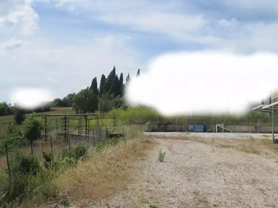 Immagine 3 di Capannone industriale in vendita  in Via Kennedy a Mondavio