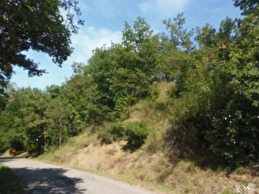 Immagine 12 di Rustico / casale in vendita  in Via Mulino a Sogliano Al Rubicone