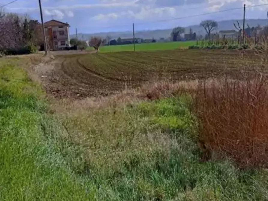 Immagine 2 di Terreno edificabile in vendita  in Via della Liberazione a Cartoceto