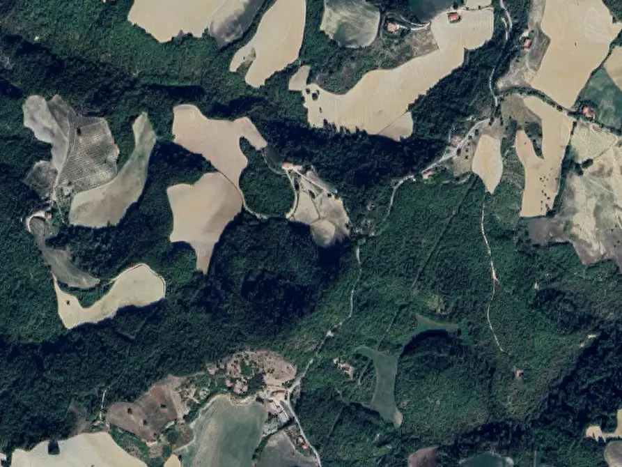 Immagine 14 di Azienda agricola in vendita  in Via Girfalco a Urbino