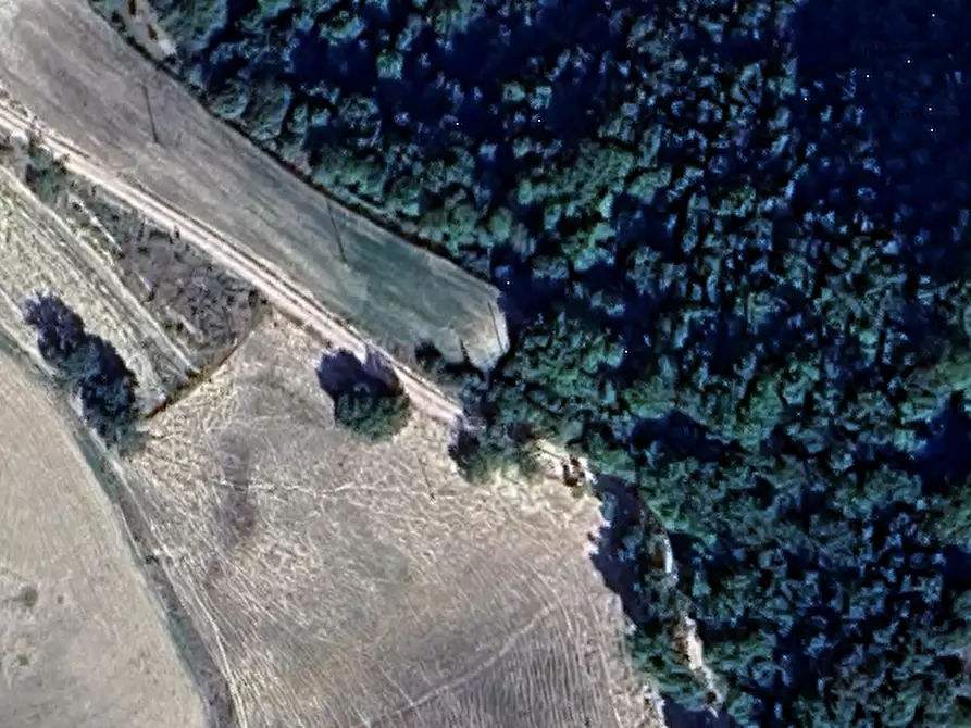 Immagine 15 di Azienda agricola in vendita  in Via Girfalco a Urbino