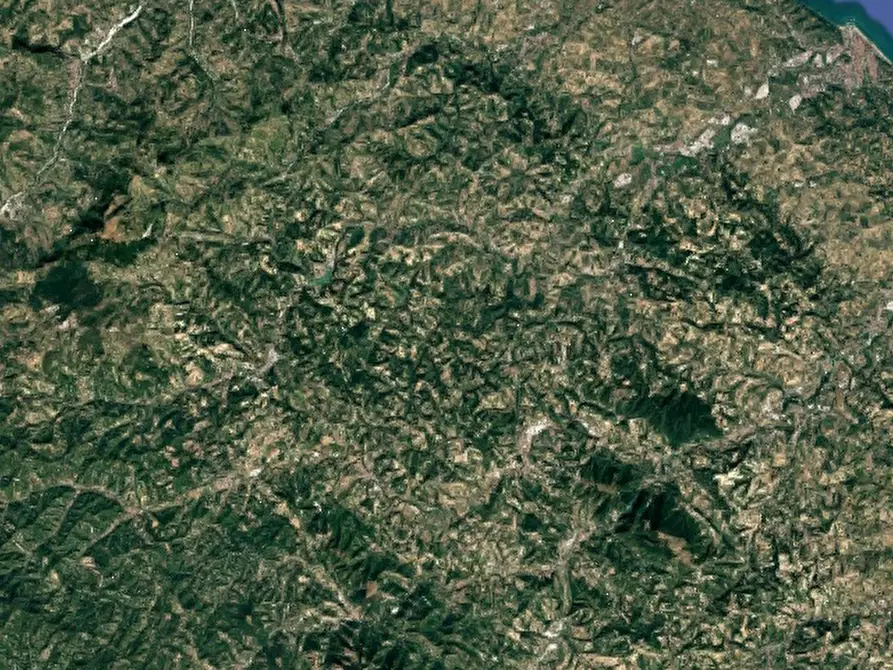 Immagine 17 di Azienda agricola in vendita  in Via Girfalco a Urbino