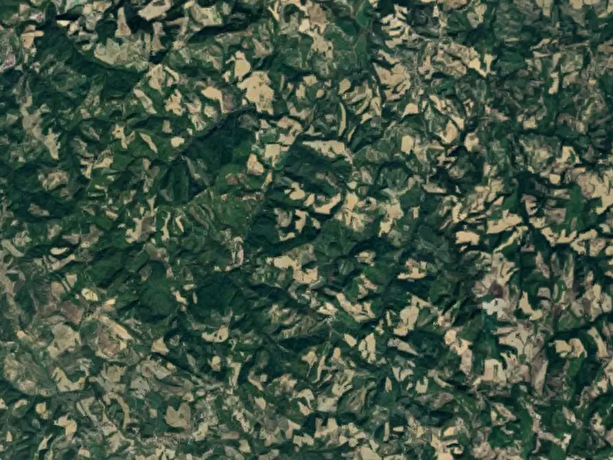 Immagine 18 di Azienda agricola in vendita  in Via Girfalco a Urbino