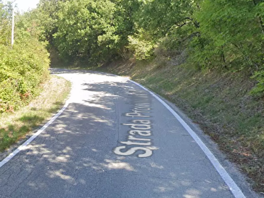 Immagine 19 di Azienda agricola in vendita  in Via Girfalco a Urbino