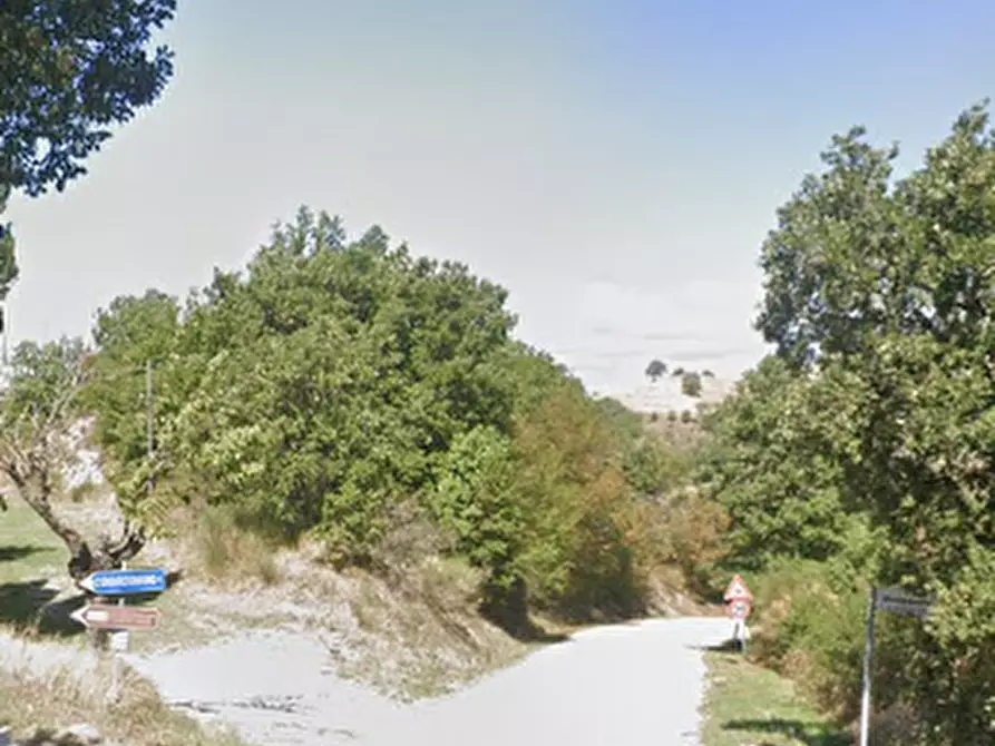 Immagine 3 di Rustico / casale in vendita  in Via Avorio a Urbino