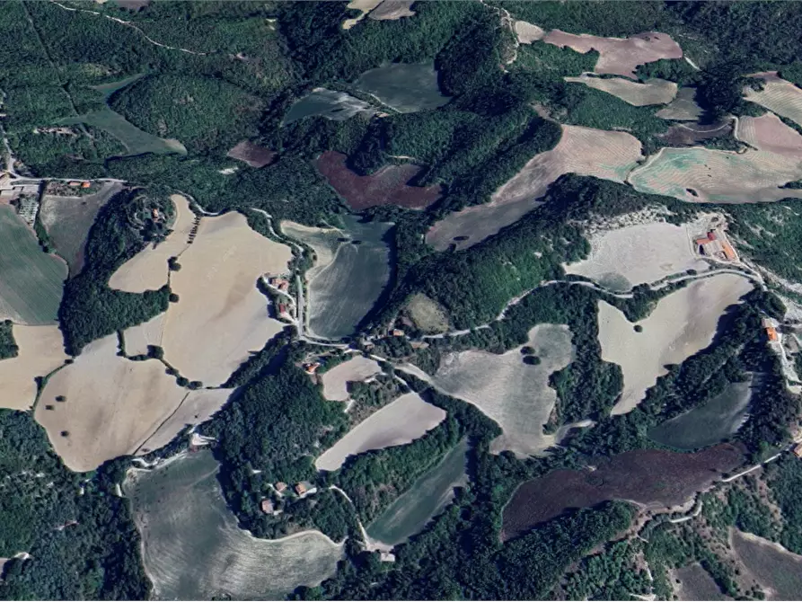 Immagine 7 di Rustico / casale in vendita  in Via Avorio a Urbino