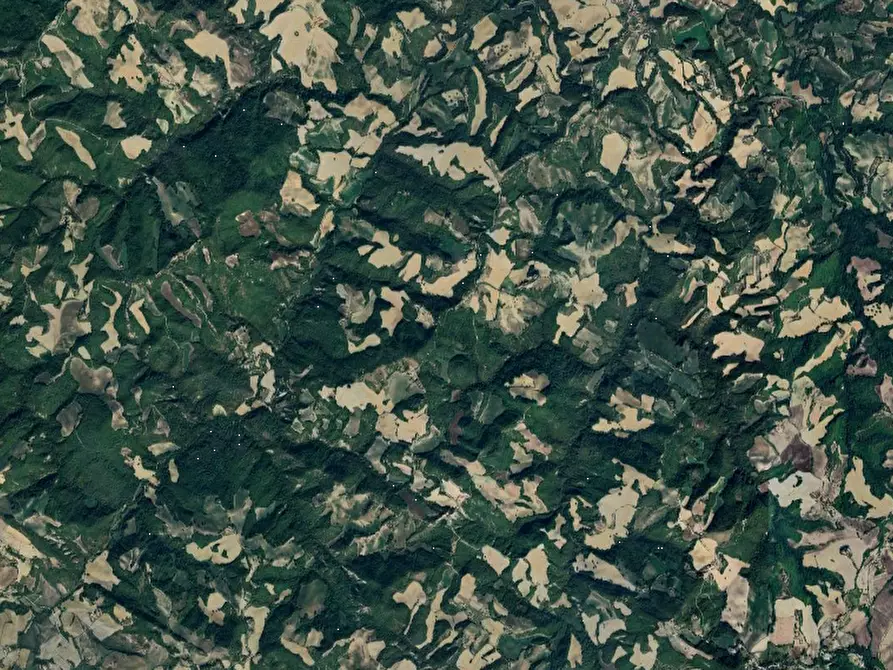 Immagine 5 di Terreno agricolo in vendita  in Via Girfalco a Urbino