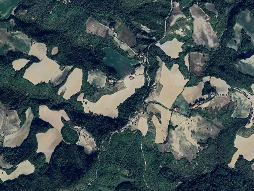 Immagine 6 di Terreno agricolo in vendita  in Via Girfalco a Urbino