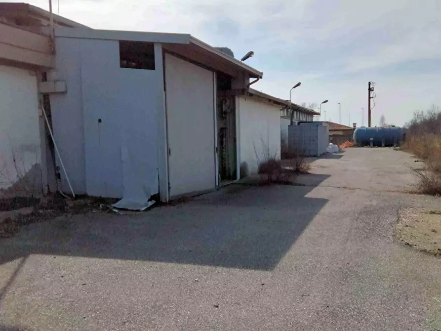 Immagine 3 di Capannone industriale in vendita  in Via San Zenone a Dello